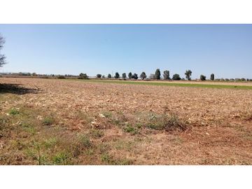VENTA HECTAREAS EN SAN JUAN DEL RIO QUERETARO