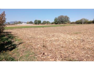 VENTA HECTAREAS EN SAN JUAN DEL RIO QUERETARO