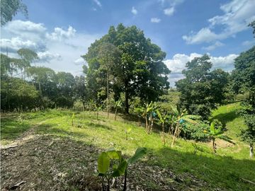 Se Vende Finca Paisaje Cultural Cafetero Buenavista Quindío
