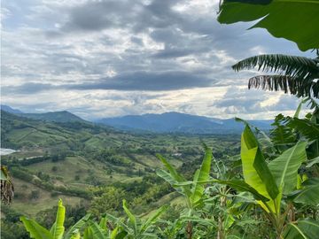 Se Vende Finca Paisaje Cultural Cafetero Buenavista Quindío