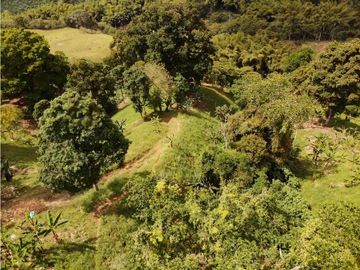 Se Vende Finca Paisaje Cultural Cafetero Buenavista Quindío