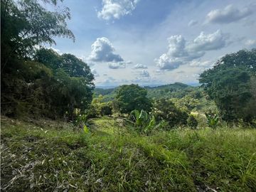 Se Vende Finca Paisaje Cultural Cafetero Buenavista Quindío