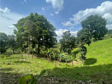 Se Vende Finca Paisaje Cultural Cafetero Buenavista Quindío
