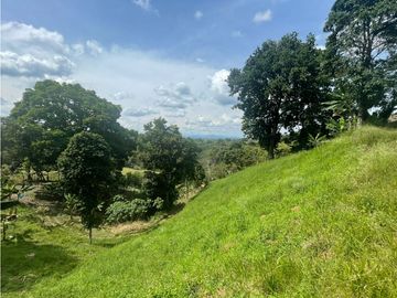 Se Vende Finca Paisaje Cultural Cafetero Buenavista Quindío