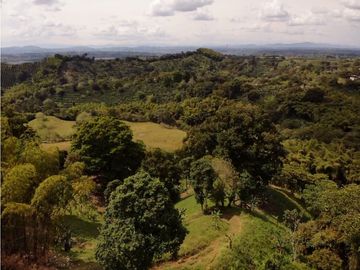 Se Vende Finca Paisaje Cultural Cafetero Buenavista Quindío