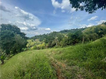 Se Vende Finca Paisaje Cultural Cafetero Buenavista Quindío