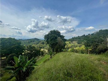 Se Vende Finca Paisaje Cultural Cafetero Buenavista Quindío