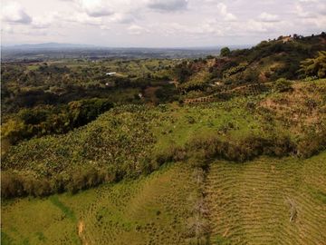 Se Vende Finca Paisaje Cultural Cafetero Buenavista Quindío