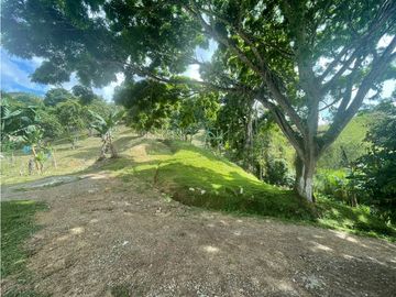 Se Vende Finca Paisaje Cultural Cafetero Buenavista Quindío