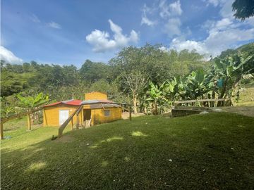 Se Vende Finca Paisaje Cultural Cafetero Buenavista Quindío
