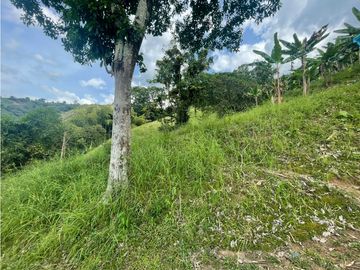 Se Vende Finca Paisaje Cultural Cafetero Buenavista Quindío