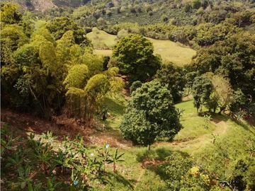 Se Vende Finca Paisaje Cultural Cafetero Buenavista Quindío