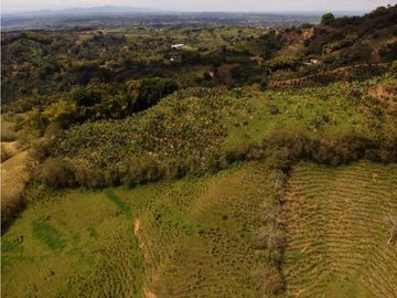 Se Vende Finca Paisaje Cultural Cafetero Buenavista Quindío
