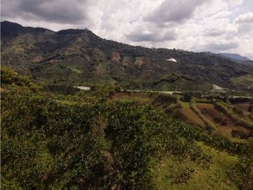 Se Vende Finca Paisaje Cultural Cafetero Buenavista Quindío