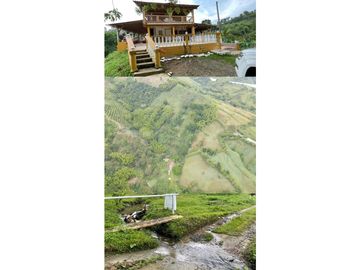 Se Vende Finca Paisaje Cultural Cafetero Buenavista Quindío