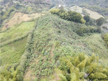 Se Vende Finca Paisaje Cultural Cafetero Buenavista Quindío
