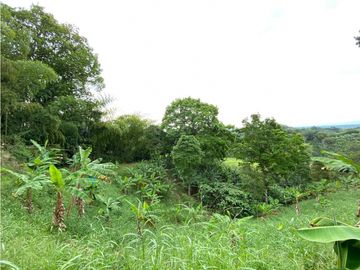 Se Vende Finca Paisaje Cultural Cafetero Buenavista Quindío