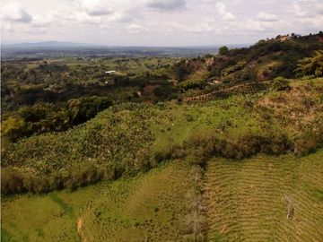 Se Vende Finca Paisaje Cultural Cafetero Buenavista Quindío
