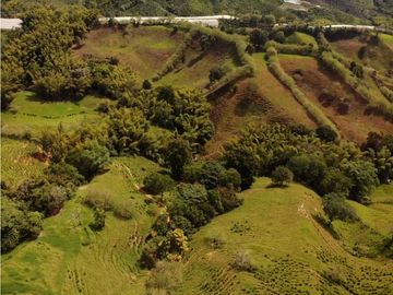 Se Vende Finca Paisaje Cultural Cafetero Buenavista Quindío