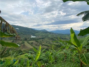 Se Vende Finca Paisaje Cultural Cafetero Buenavista Quindío