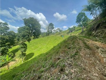 Se Vende Finca Paisaje Cultural Cafetero Buenavista Quindío