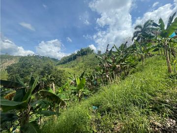 Se Vende Finca Paisaje Cultural Cafetero Buenavista Quindío