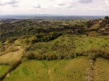 Se Vende Finca Paisaje Cultural Cafetero Buenavista Quindío