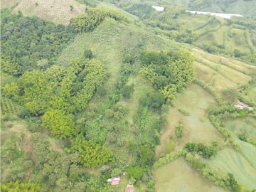 Se Vende Finca Paisaje Cultural Cafetero Buenavista Quindío