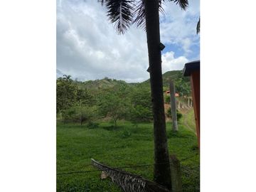 Se Vende Finca Paisaje Cultural Cafetero Buenavista Quindío