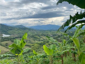Se Vende Finca Paisaje Cultural Cafetero Buenavista Quindío