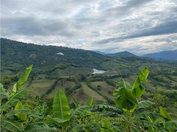 Se Vende Finca Paisaje Cultural Cafetero Buenavista Quindío