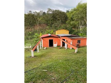 Se Vende Finca Paisaje Cultural Cafetero Buenavista Quindío