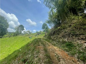 Se Vende Finca Paisaje Cultural Cafetero Buenavista Quindío