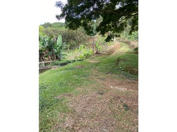 Se Vende Finca Paisaje Cultural Cafetero Buenavista Quindío