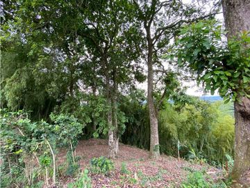 Se Vende Finca Paisaje Cultural Cafetero Buenavista Quindío