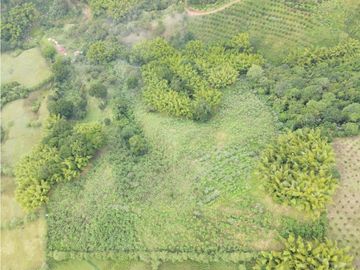 Se Vende Finca Paisaje Cultural Cafetero Buenavista Quindío
