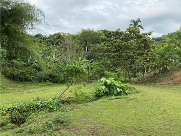 Se Vende Finca Paisaje Cultural Cafetero Buenavista Quindío