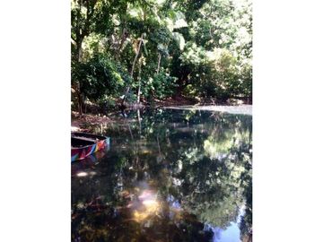 Finca de Mangos Santa Marta Colombia