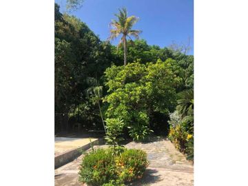 Finca de Mangos Santa Marta Colombia