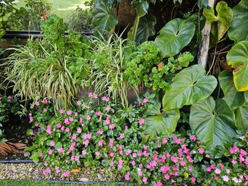 Casa en Venta en Cuernavaca
