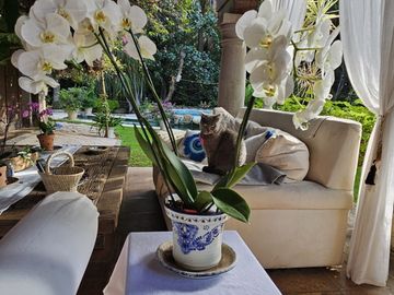 Casa en Venta en Cuernavaca
