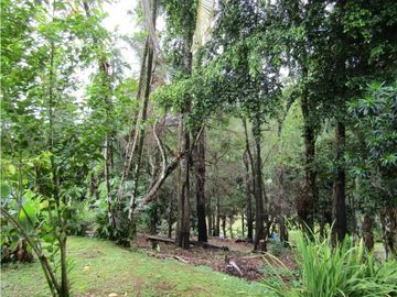 COLON / PORTOBELO / MARA CHIQUITA / 8500M2 / 7 HABIT / VISTA AL MAR