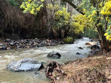 Parcela en venta en PELLUHUE