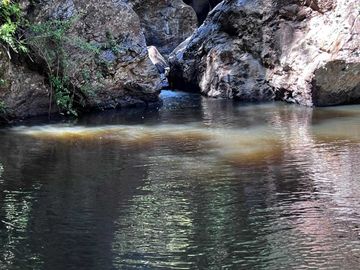 Parcela en venta en PELLUHUE