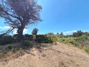 Parcela en venta en ALGARROBO