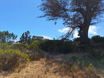 Parcela en venta en ALGARROBO
