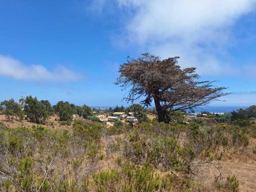 Parcela en venta en ALGARROBO