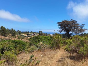Parcela en venta en ALGARROBO