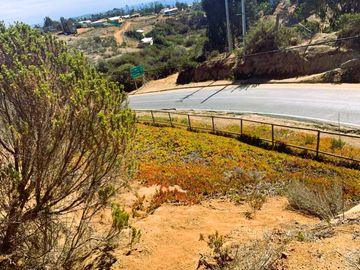 Parcela en venta en ALGARROBO