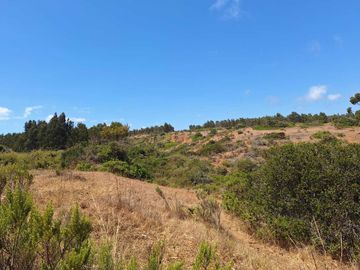 Parcela en venta en ALGARROBO